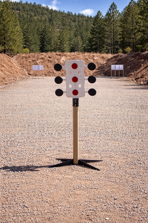 The Rival- Single target